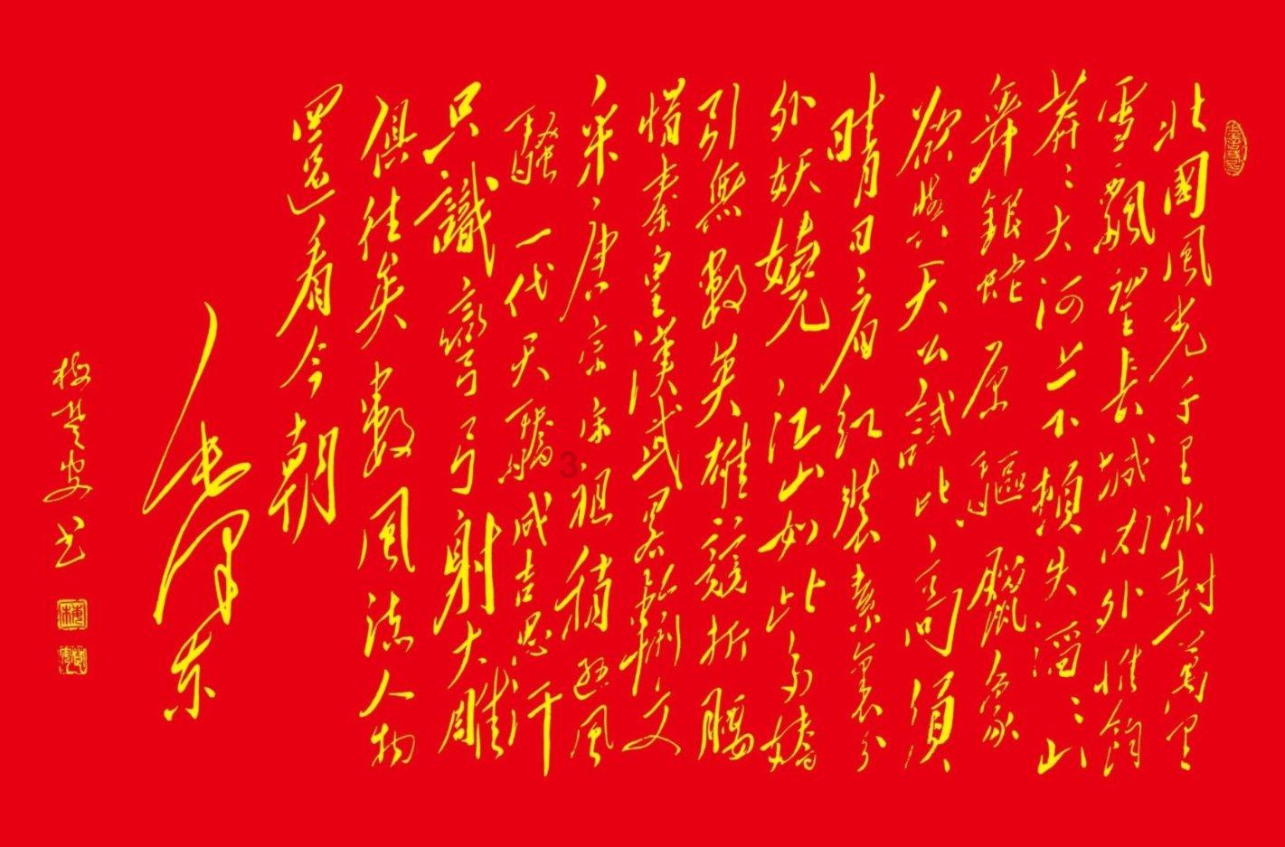 疯狂的小偷